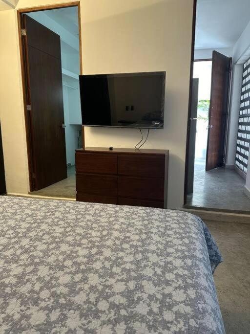 Mid-498 Centro *