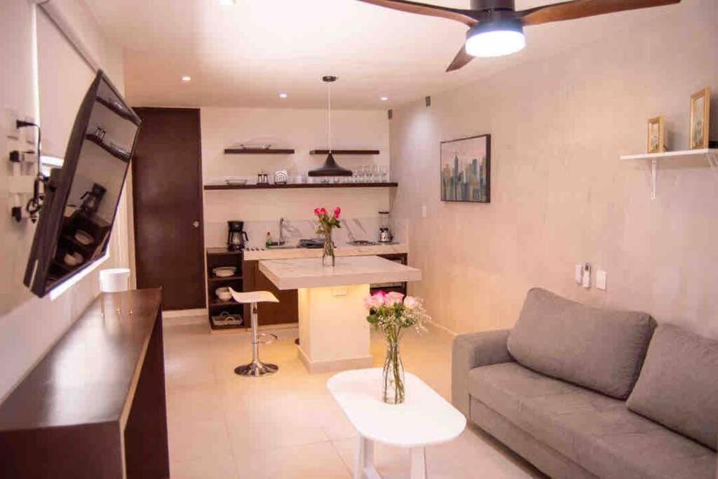 Mid-498 Centro Apartment Merida